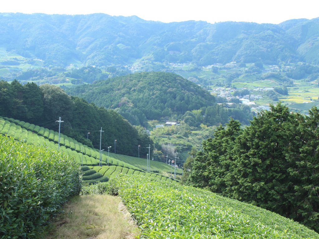 南